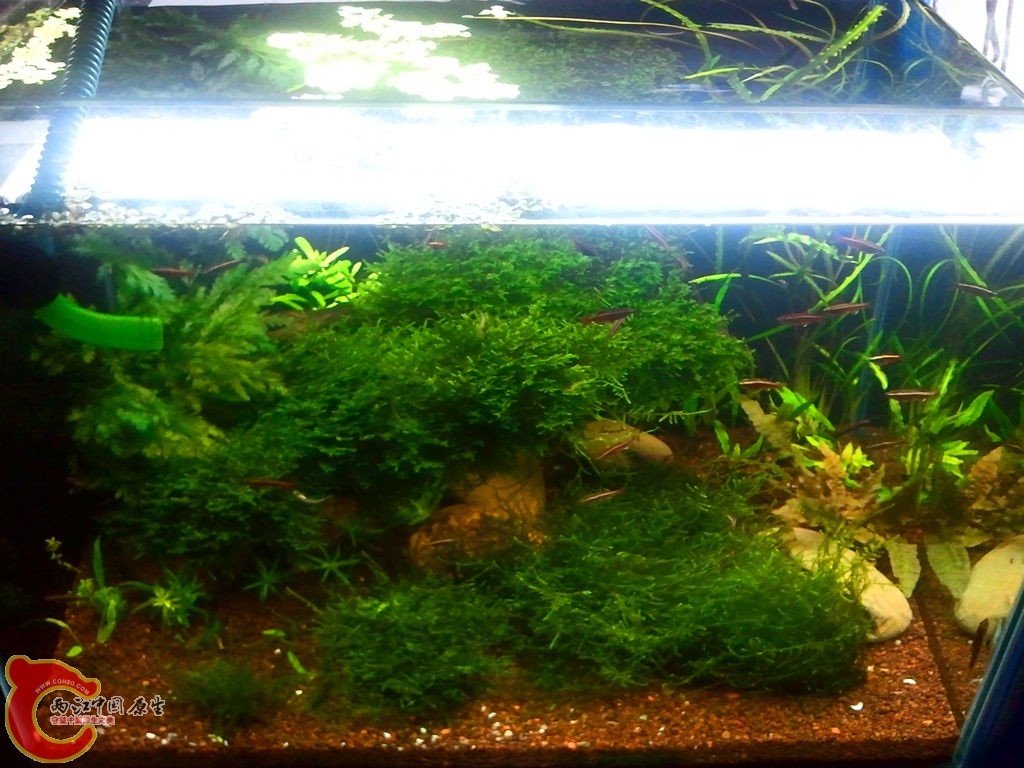 2013-03-24 22.09.35_副本.jpg