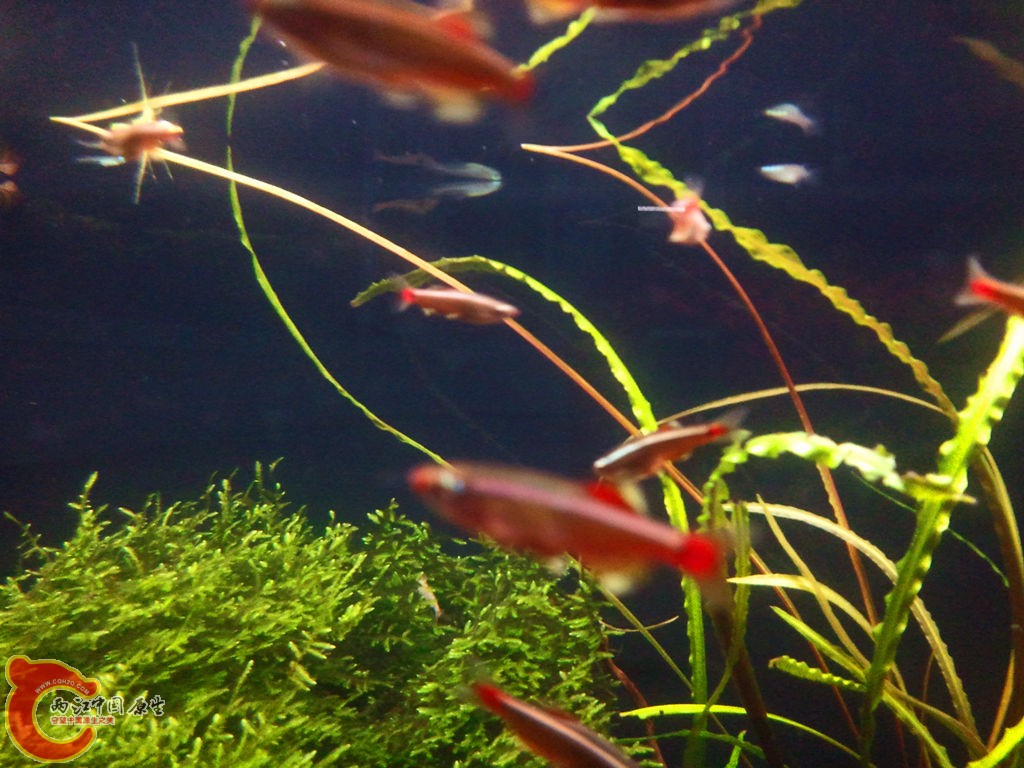 2013-03-24 22.11.42_副本.jpg