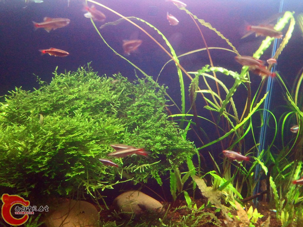 2013-03-24 22.12.13_副本.jpg