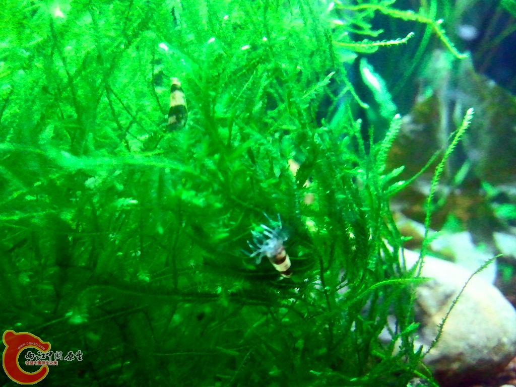 2013-03-24 22.12.59_副本.jpg