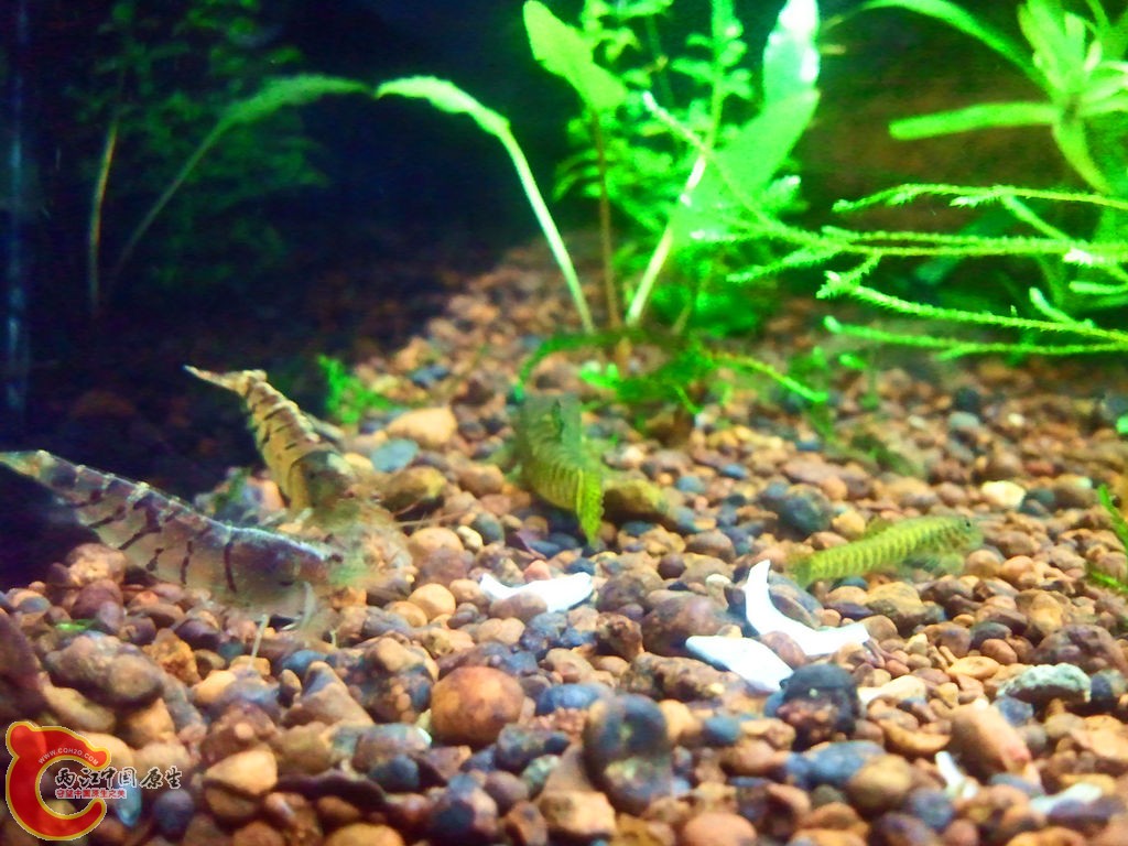 2013-03-24 22.13.07_副本.jpg