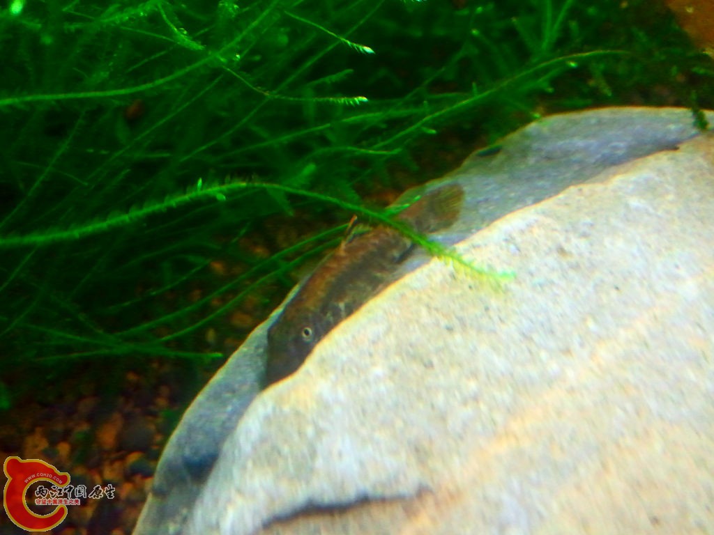 2013-03-24 22.13.59_副本.jpg