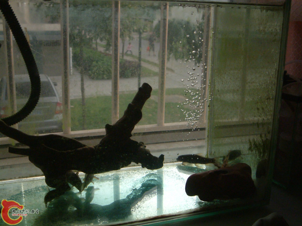 DSCF0023.JPG