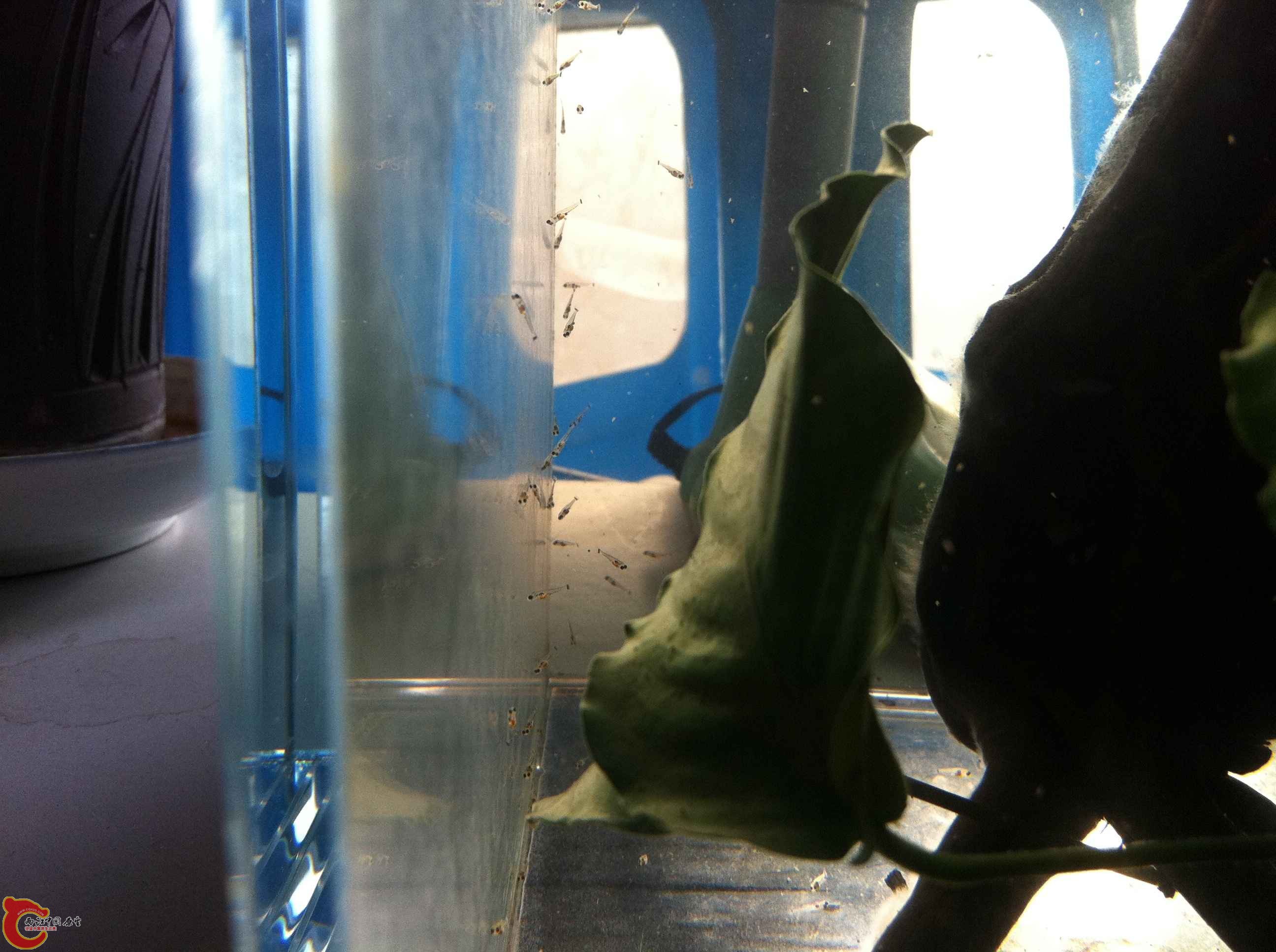 IMG_0907 - 副本.JPG