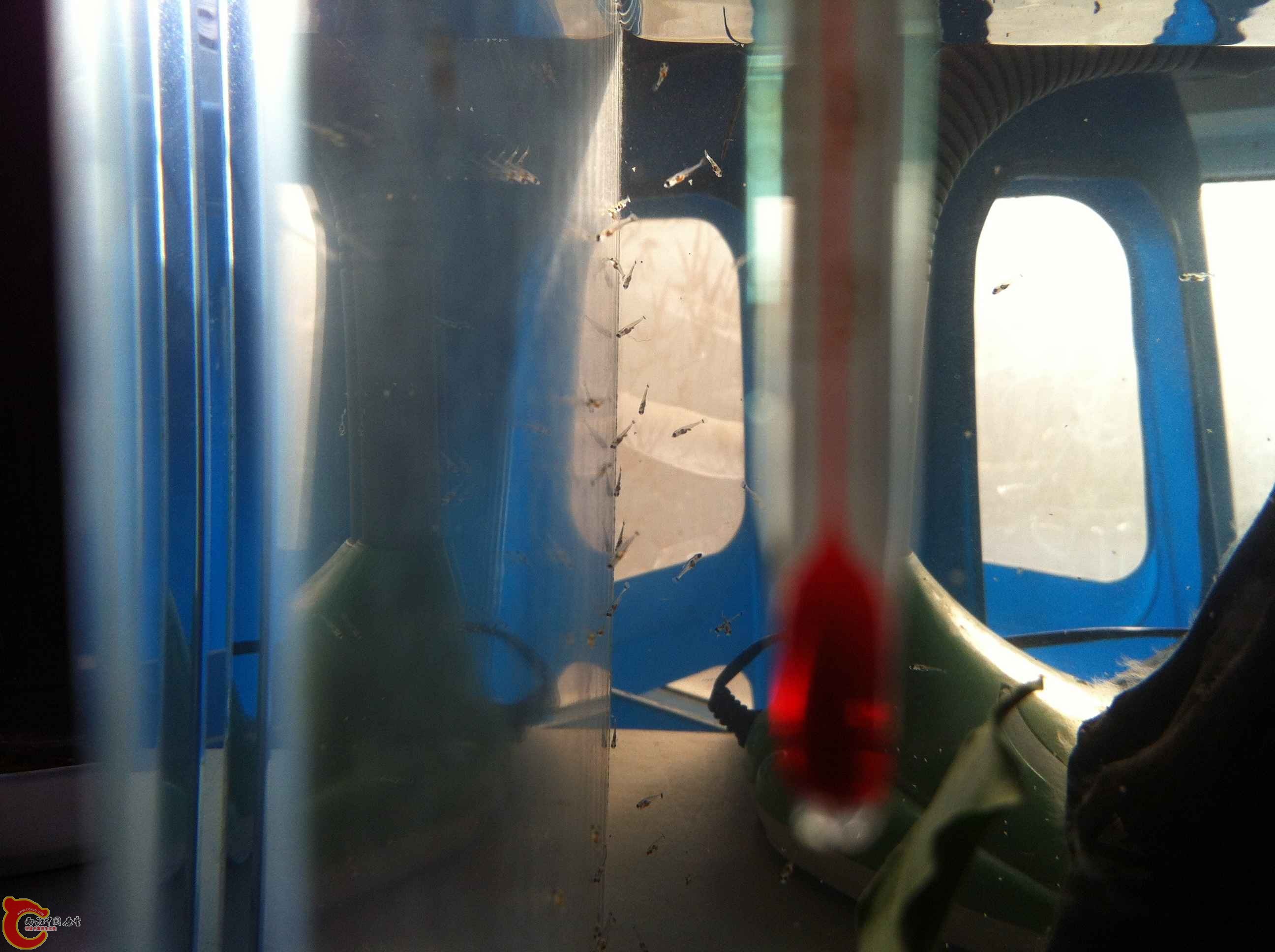 IMG_0899 - 副本.JPG