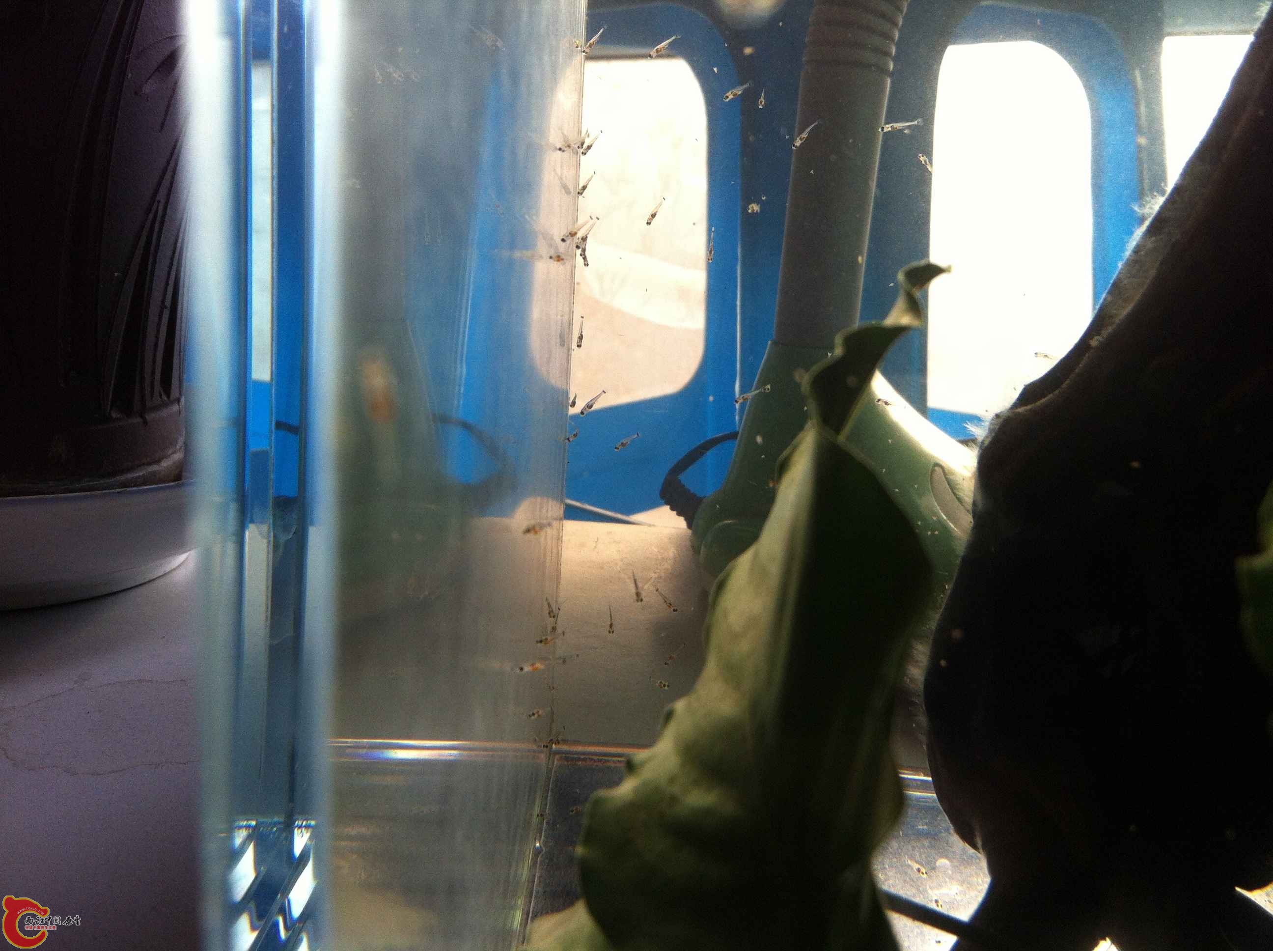 IMG_0901 - 副本.JPG