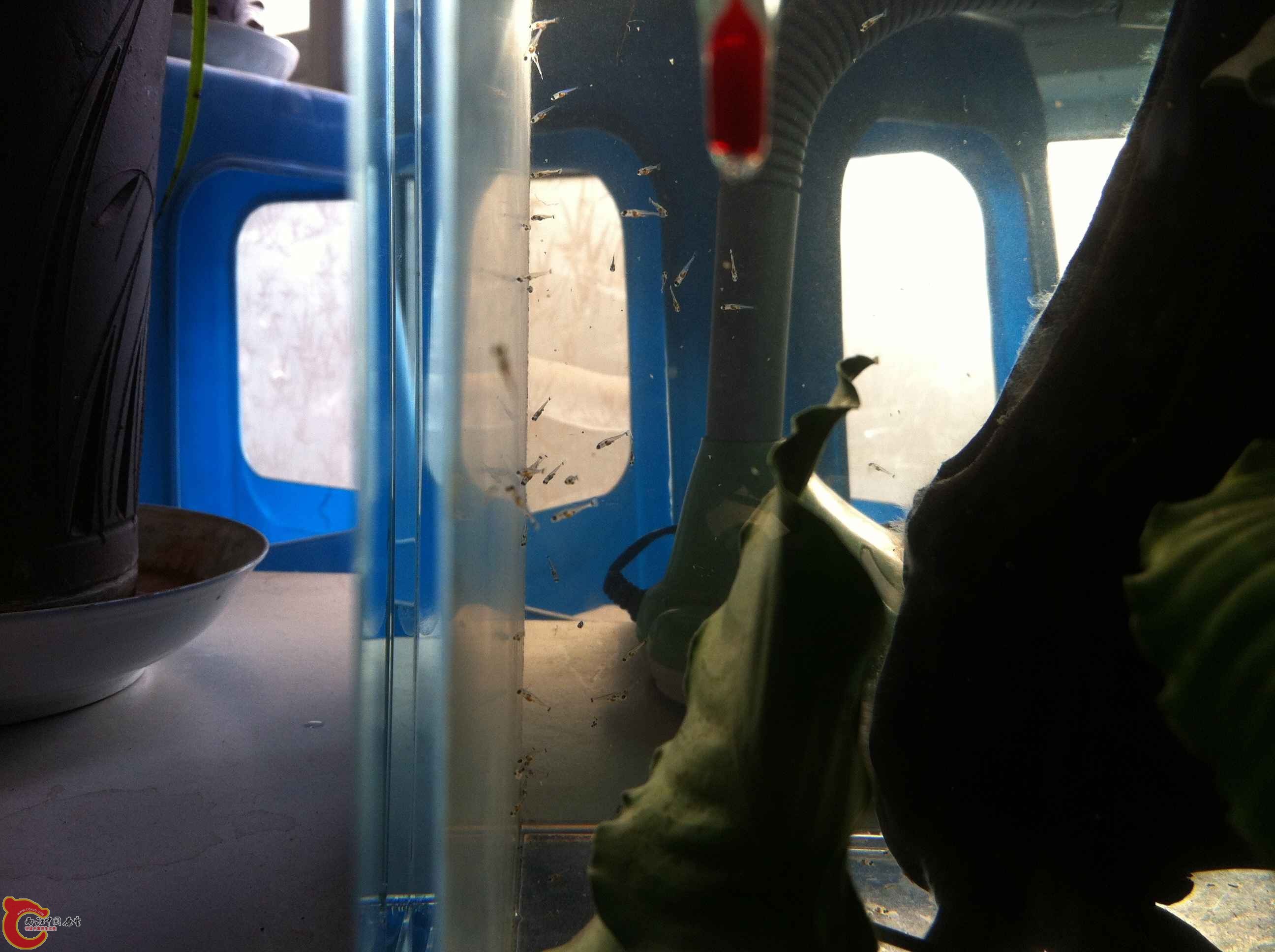 IMG_0898 - 副本.JPG