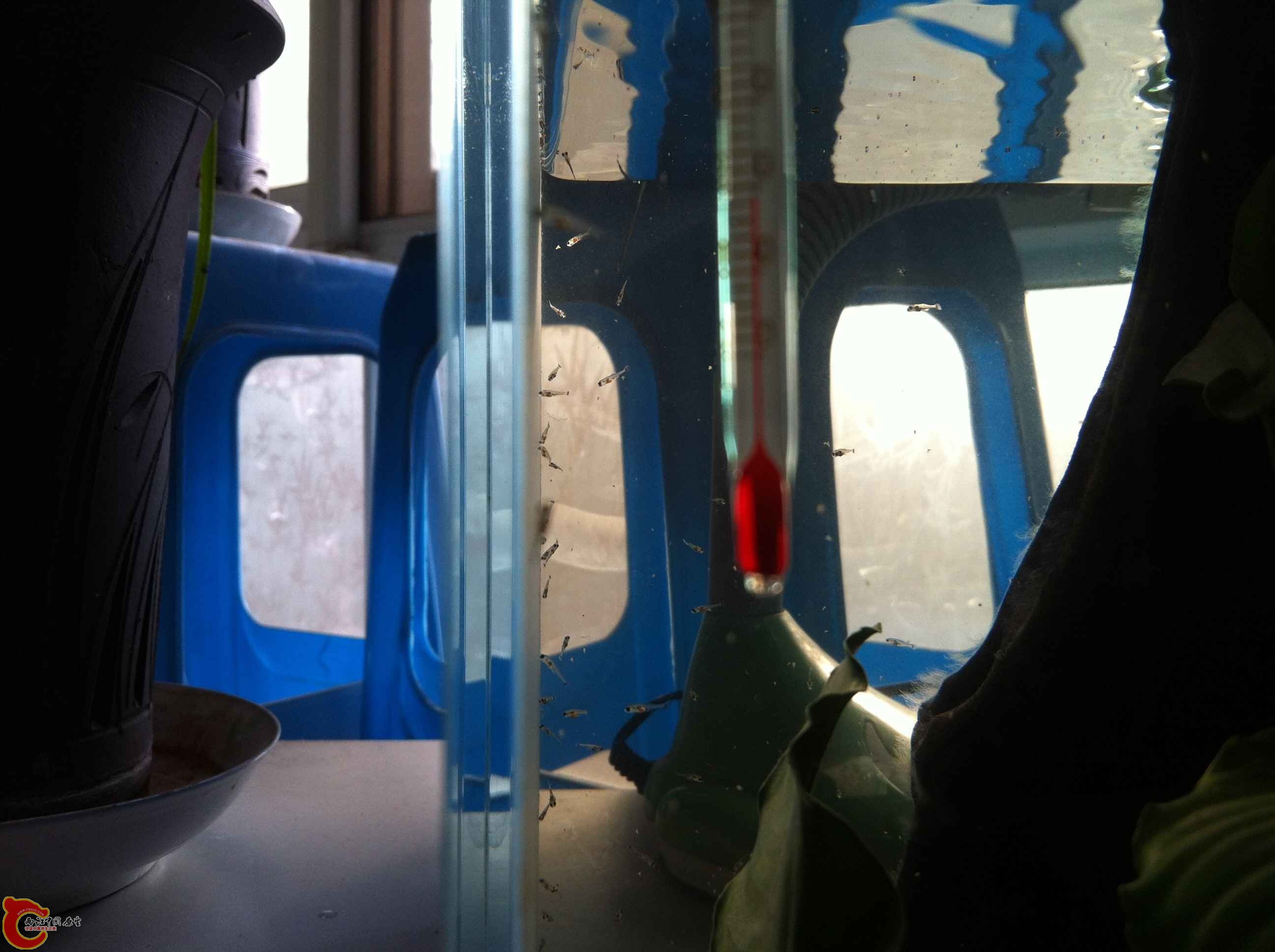 IMG_0896 - 副本.JPG