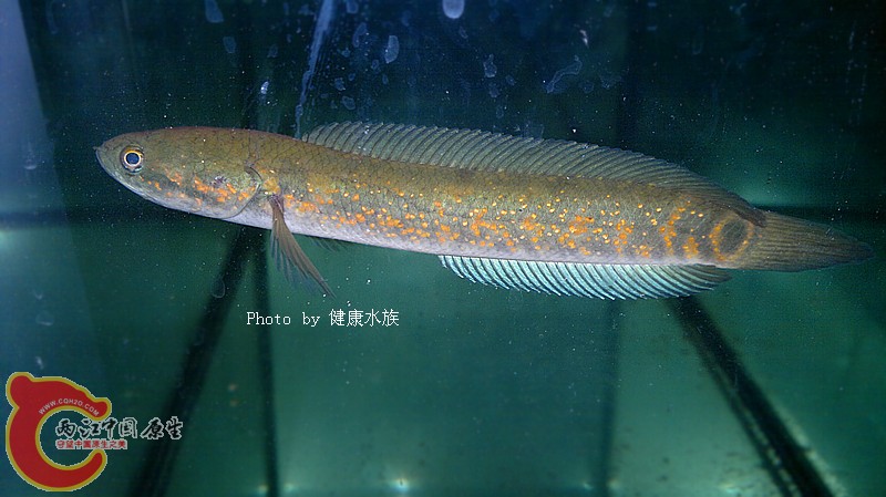 201301243506.jpg
