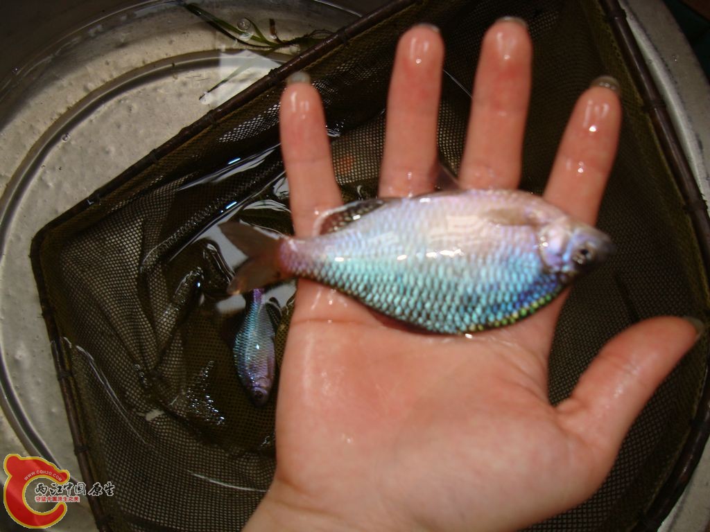 nEO_IMG_2013.3.10 (7).jpg