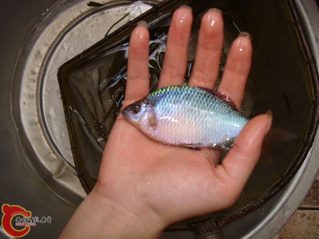 nEO_IMG_2013.3.10 (9).jpg