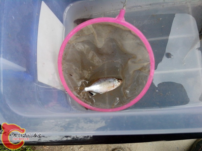 IMG_20130326_132325_副本.jpg
