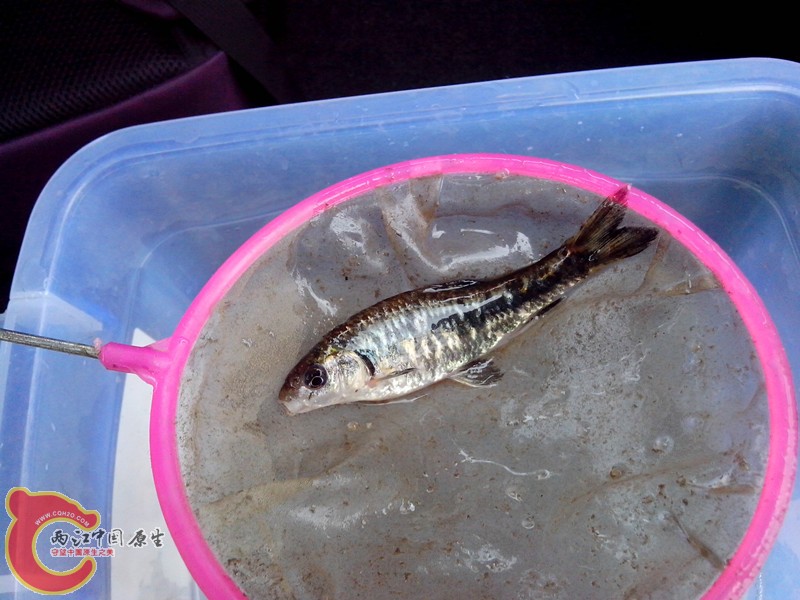 IMG_20130326_132428_副本.jpg