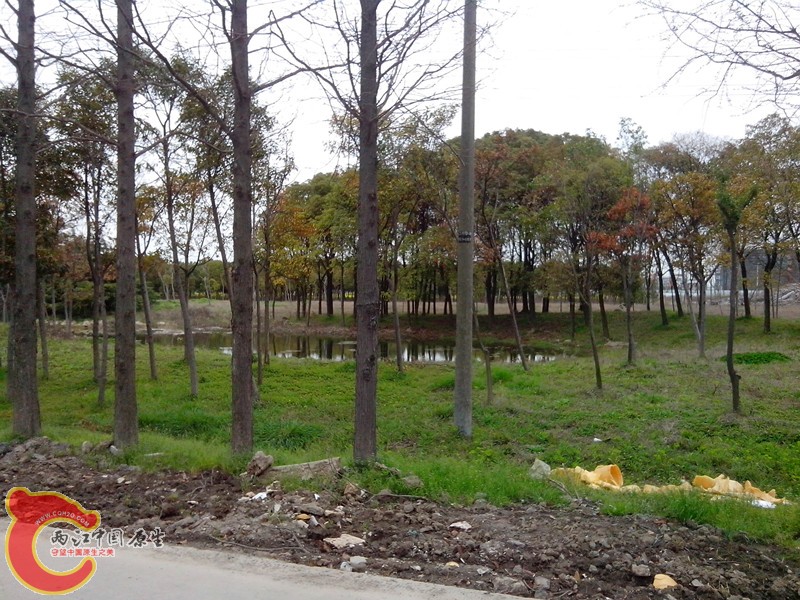 IMG_20130326_132528_副本.jpg