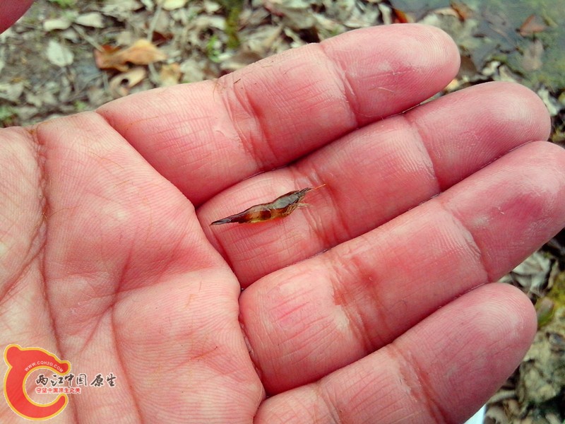IMG_20130326_134555_副本.jpg