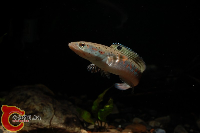 nEO_IMG_DSC_9605.jpg