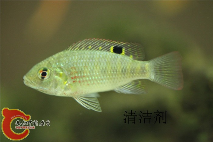 照片 073.jpg