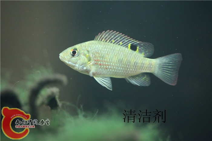 照片 068.jpg