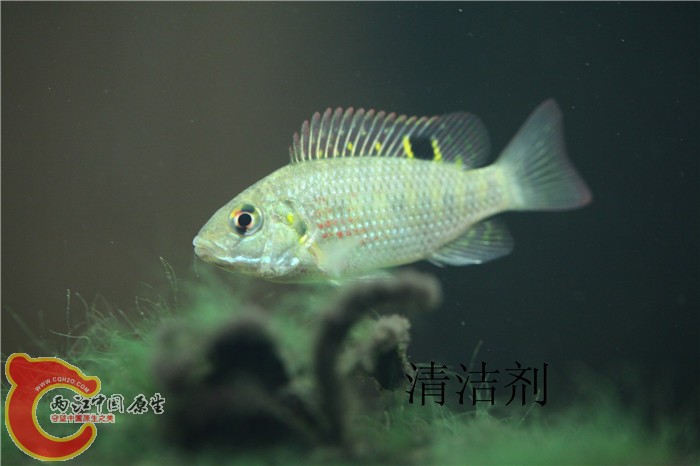 照片 069.jpg