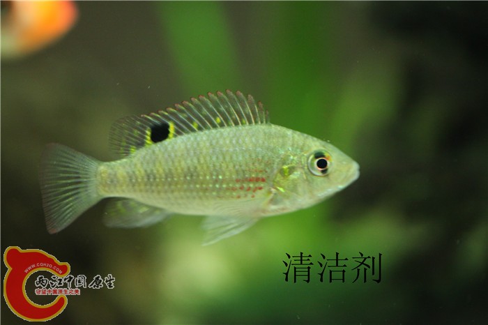照片 072.jpg