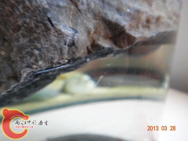 DSC00921.JPG