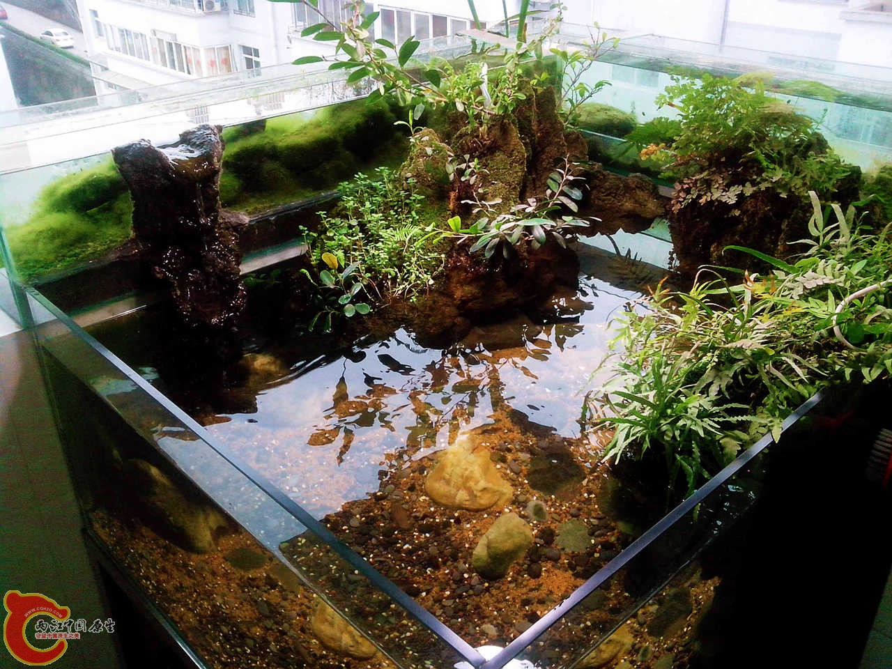 IMG_20130309_090155_00_副本_副本.jpg