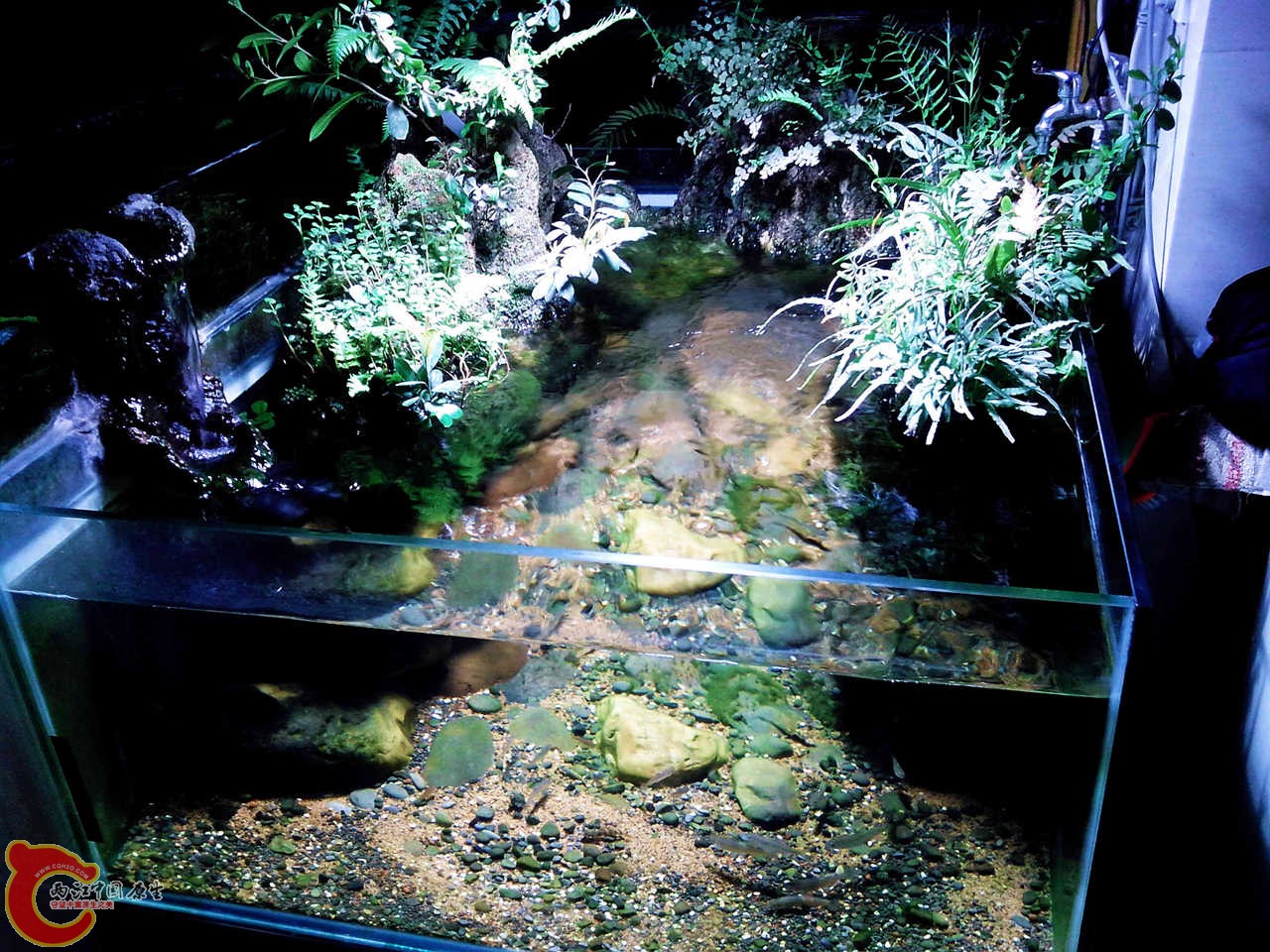 IMG_20130323_214106_00_副本_副本.jpg