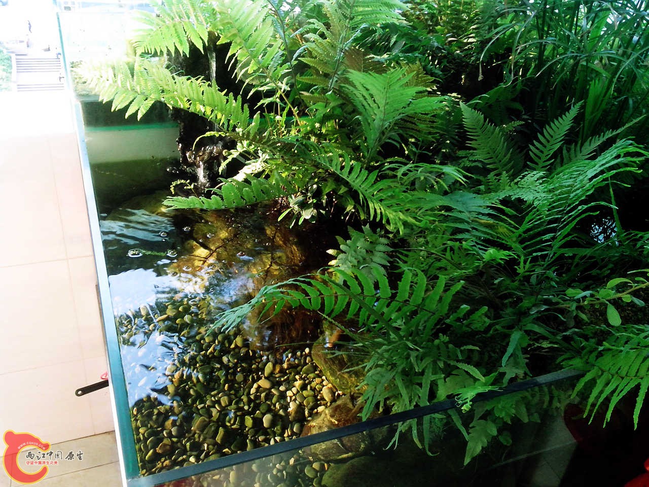 IMG_20120917_164957_1504449_副本.jpg