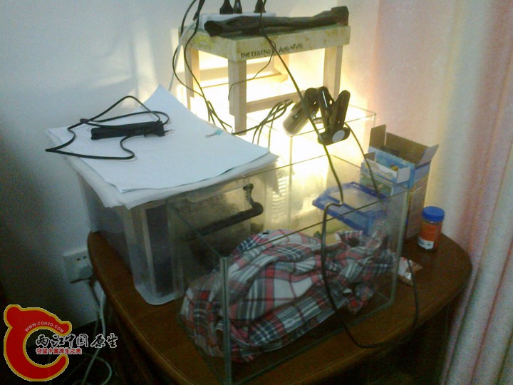 large_9myr_308d0000920f118f.jpg