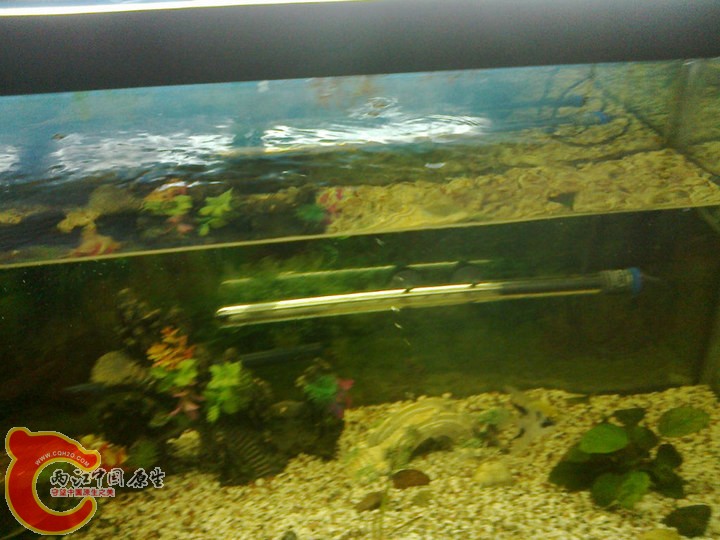 large_Nz4u_06a10000c5b21260.jpg