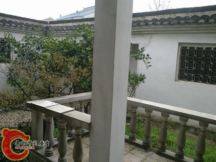 large_T45x_55cf000093971191.jpg
