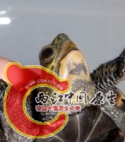 搜狗截图13年03月30日2306_5.jpg