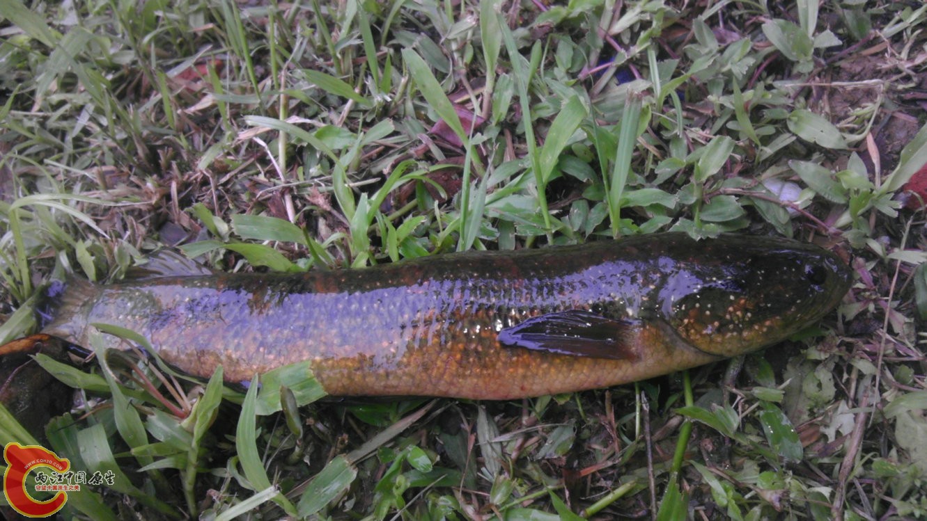 IMAG3688.jpg