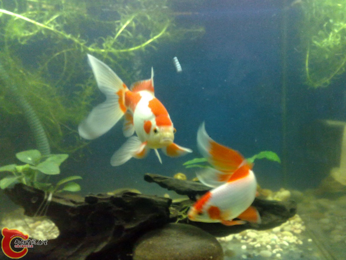 201304017702.jpg