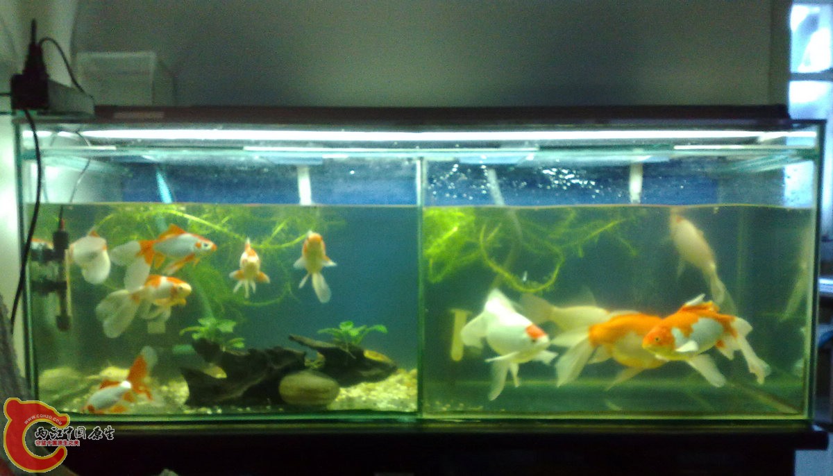 201304017705.jpg