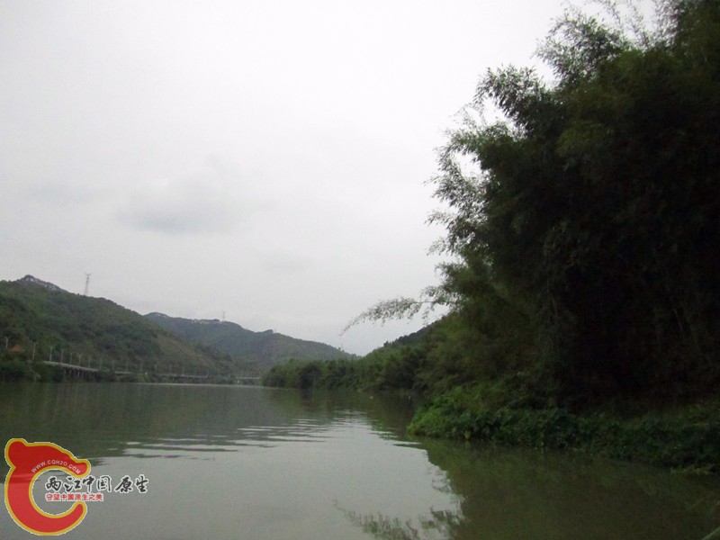 IMG_6974_副本.jpg
