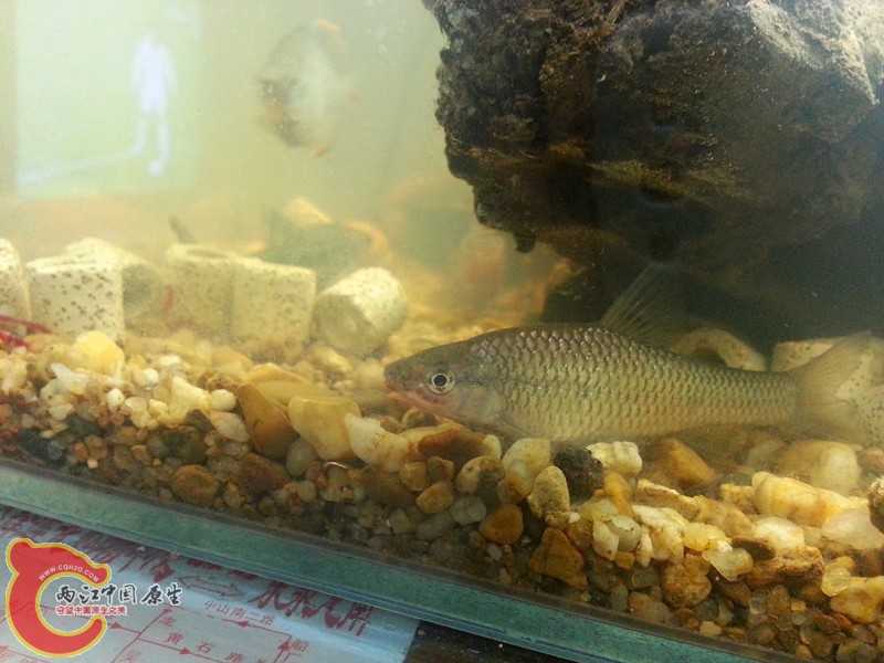 20130402_212956_副本.jpg