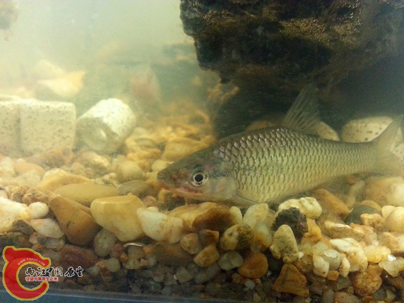 20130402_213026_副本.jpg