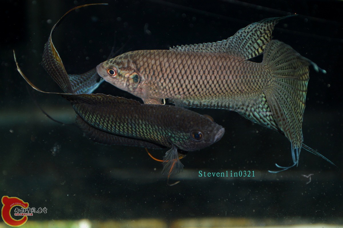 DSC_1494.jpg