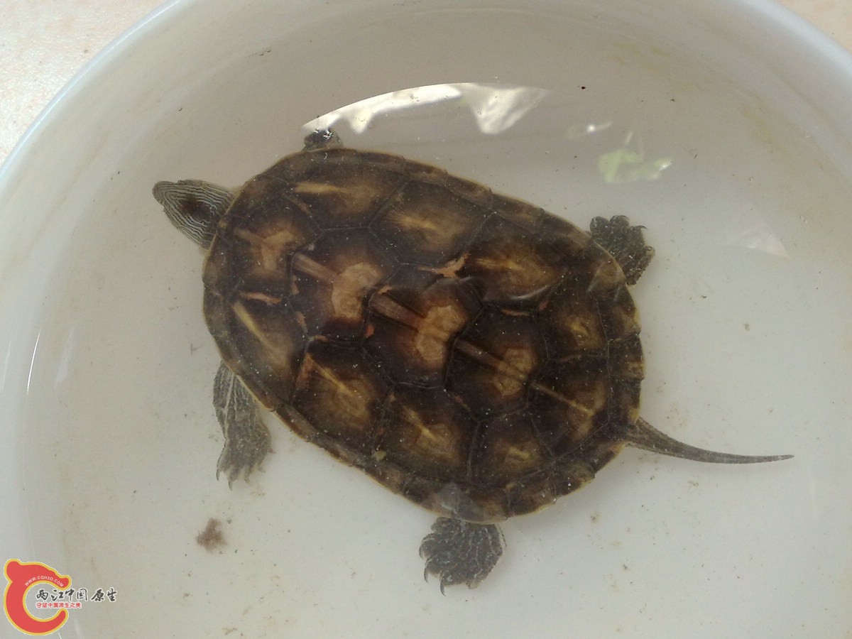 201304037723.jpg