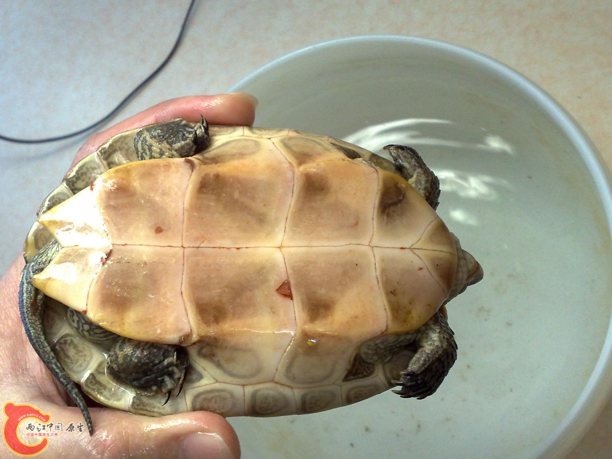 201304037724.jpg