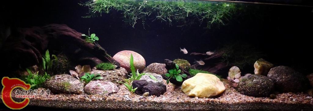 调整大小 P1010149.JPG