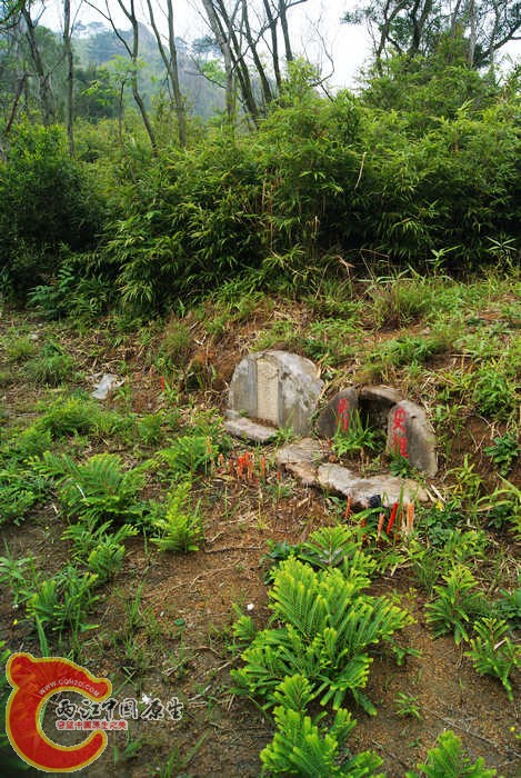 08.jpg