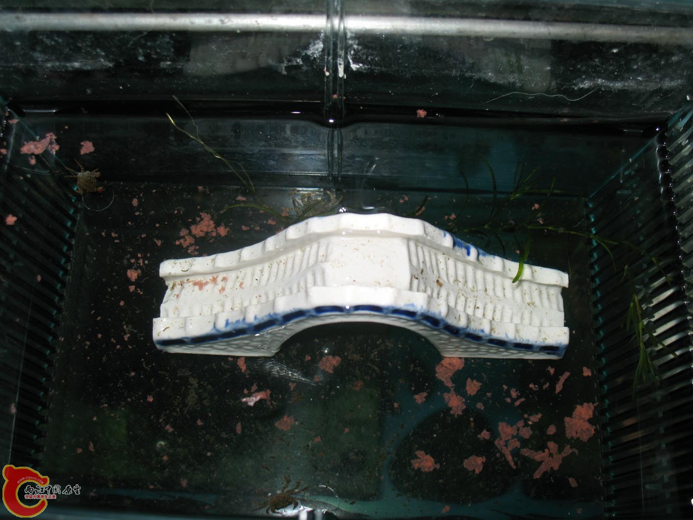 押回隔离盒中！