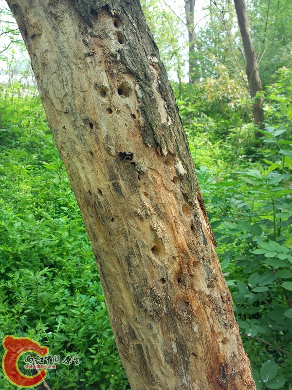 P30404-113345_副本.jpg