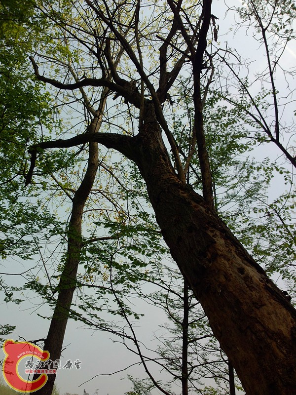 P30404-113349_副本.jpg