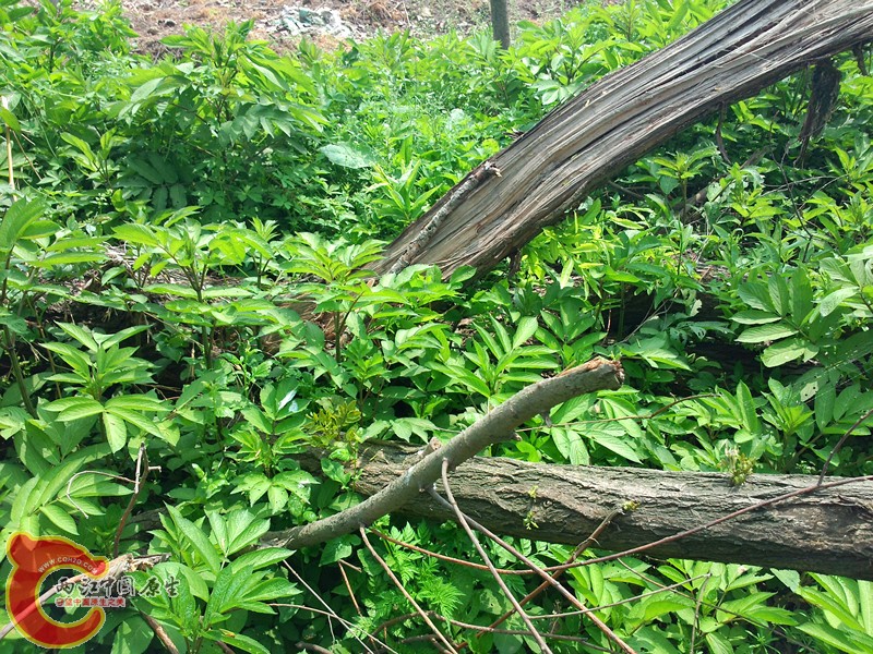 P30404-113836_副本.jpg