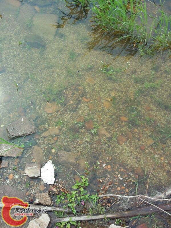 P30404-142905_副本.jpg