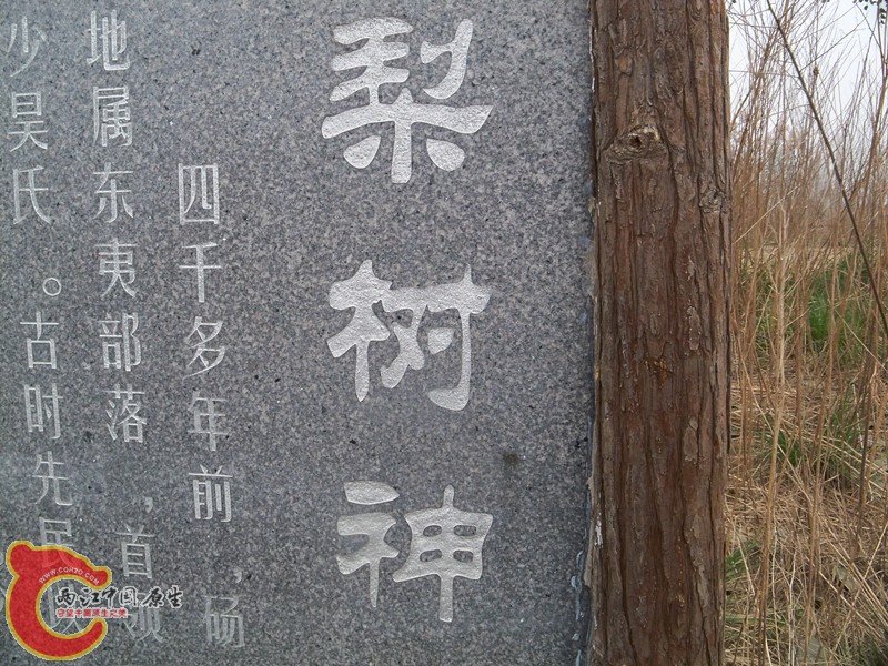 100_6456_副本.jpg