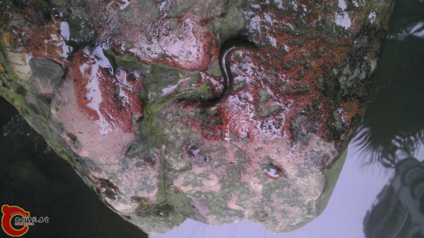 IMAG3717.jpg